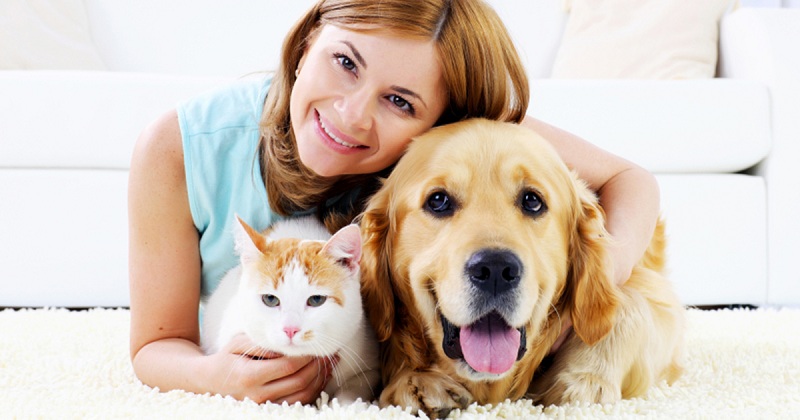 The Benefits of Having Pets and How to Adopt Your Perfect Companion