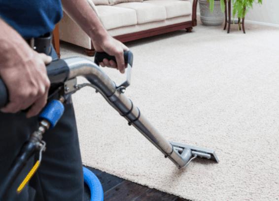 carpet cleaning why